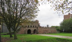 IMG_8246.jpg IMG_8246.jpg