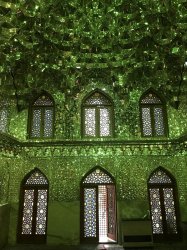 IMG_6209.JPG IMG_6209.JPG