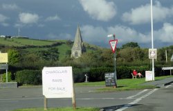 IMG_8392.jpg IMG_8392.jpg