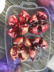 IMG_6249.JPG IMG_6249.JPG