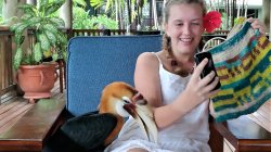 A Tufi Resort 21.jpg A Tufi Resort 21.jpg