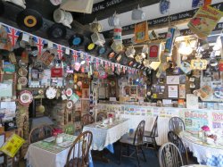 IMG_8504.jpg IMG_8504.jpg