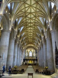 IMG_8519.jpg IMG_8519.jpg