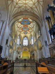 IMG_8533.jpg IMG_8533.jpg