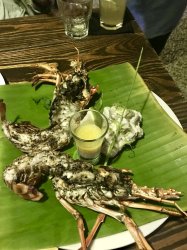 C65043E8-CA09-4F2A-A968-93F690D4BCED.jpeg C65043E8-CA09-4F2A-A968-93F690D4BCED.jpeg