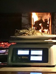 1E40B1BC-B337-4A53-AAAE-90EC810BEF77.jpeg 1E40B1BC-B337-4A53-AAAE-90EC810BEF77.jpeg