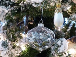 CFB5549F-AA52-4868-B50F-124483B0128D.jpeg CFB5549F-AA52-4868-B50F-124483B0128D.jpeg