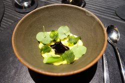 B1E420C9-2C07-4B33-A775-836ECB129814.jpeg B1E420C9-2C07-4B33-A775-836ECB129814.jpeg