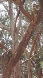 20171224_112452.jpg 20171224_112452.jpg