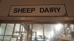 20171226_114309.jpg 20171226_114309.jpg