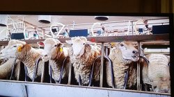 20171226_114329.jpg 20171226_114329.jpg