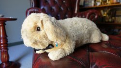 DSC07358.JPG DSC07358.JPG