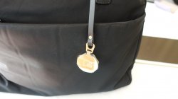 DSC07362.JPG DSC07362.JPG