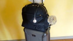 DSC07367.JPG DSC07367.JPG