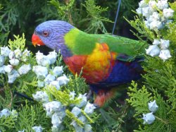 4F2ECC19-5C63-448F-8220-1743E6E7C997.jpeg 4F2ECC19-5C63-448F-8220-1743E6E7C997.jpeg