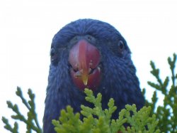 D0C0E24A-E998-448E-9E20-5C2196276AE5.jpeg D0C0E24A-E998-448E-9E20-5C2196276AE5.jpeg