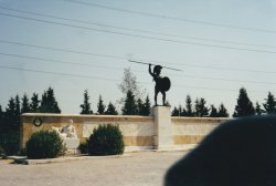 IMG_20180103_0043.jpg IMG_20180103_0043.jpg