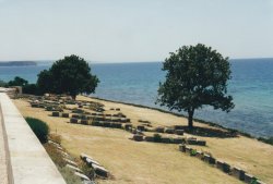 IMG_20180103_0049.jpg IMG_20180103_0049.jpg