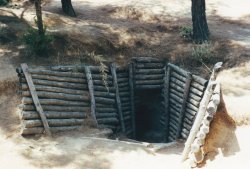 IMG_20180103_0052.jpg IMG_20180103_0052.jpg