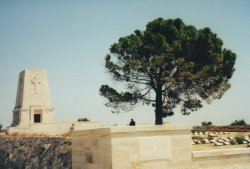 IMG_20180103_0053.jpg IMG_20180103_0053.jpg