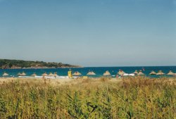 IMG_20180104_0007.jpg IMG_20180104_0007.jpg