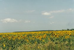 IMG_20180104_0011.jpg IMG_20180104_0011.jpg