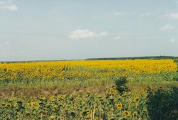 IMG_20180104_0012.jpg IMG_20180104_0012.jpg