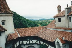 IMG_20180104_0017.jpg IMG_20180104_0017.jpg