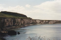 IMG_20180108_0029.jpg IMG_20180108_0029.jpg