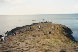 IMG_20180108_0032.jpg IMG_20180108_0032.jpg