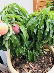 1A830E19-C24E-45E8-B548-70E65A417911.jpeg 1A830E19-C24E-45E8-B548-70E65A417911.jpeg