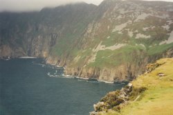 IMG_20180109_0016.jpg IMG_20180109_0016.jpg