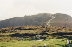 IMG_20180109_0017.jpg IMG_20180109_0017.jpg