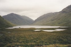 IMG_20180109_0029.jpg IMG_20180109_0029.jpg