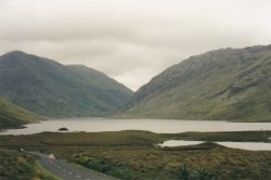 IMG_20180109_0030.jpg IMG_20180109_0030.jpg