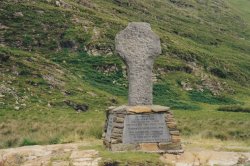 IMG_20180109_0031.jpg IMG_20180109_0031.jpg