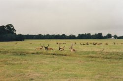 IMG_20180109_0035.jpg IMG_20180109_0035.jpg