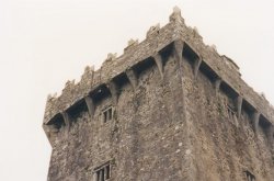 IMG_20180110_0010.jpg IMG_20180110_0010.jpg