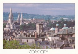 IMG_20180110_0011.jpg IMG_20180110_0011.jpg