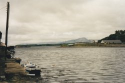 IMG_20180110_0013.jpg IMG_20180110_0013.jpg