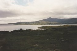 IMG_20180110_0015.jpg IMG_20180110_0015.jpg