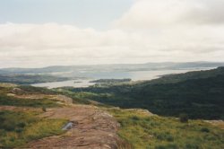 IMG_20180110_0018.jpg IMG_20180110_0018.jpg