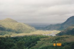 IMG_20180110_0019.jpg IMG_20180110_0019.jpg