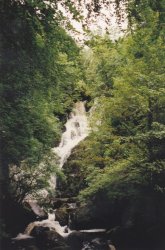 IMG_20180110_0021.jpg IMG_20180110_0021.jpg