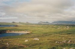 IMG_20180110_0026.jpg IMG_20180110_0026.jpg