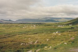 IMG_20180110_0027.jpg IMG_20180110_0027.jpg