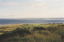 IMG_20180110_0031.jpg IMG_20180110_0031.jpg