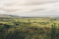 IMG_20180110_0032.jpg IMG_20180110_0032.jpg