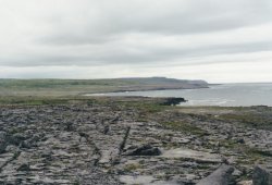 IMG_20180110_0033.jpg IMG_20180110_0033.jpg