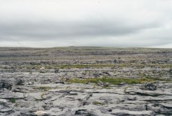 IMG_20180110_0034.jpg IMG_20180110_0034.jpg